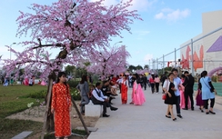 Thêm đường bay quốc tế, du khách đến Đà Nẵng tăng mạnh