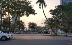 Đà Nẵng sắp có vườn sách "xã hội hoá" ven sông Hàn