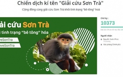 Hơn 10.300 người ký tên bảo vệ Sơn Trà