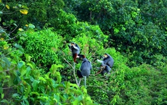 Ông Huỳnh Tấn Vinh: Trung ương đã nghe thấy "tiếng Sơn Trà kêu cứu"