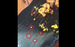 Dòi bò lổn ngổn trong đĩa sụn gà: Phạt nhà hàng 4 triệu đồng