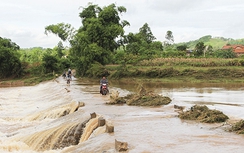Bão số 7 chuyển hướng, Bắc Giang khẩn cấp phòng chống