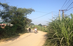 Vướng dây điện, người phụ nữ đi xe máy tử vong