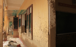 Yên Bái: Mù Cang Chải vực dậy sau cơn lũ ống kinh hoàng