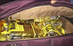 Ôm 288 bánh heroin rồ ga tông công an rồi bỏ chạy