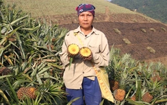 Đình chỉ hoạt động nhà máy luyện kim gây ô nhiễm môi trường