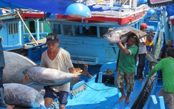 Nóng: 5 lao động tử vong vì đuối nước, 4 người khác mất tích