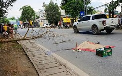 Cành cây rơi trúng: Tử vong khi vừa biết vợ sắp cưới mang bầu