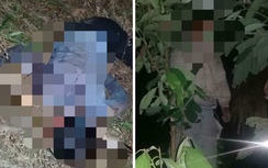 Vợ cũ chết với nhiều vết thương, chồng treo cổ trên đồi quế