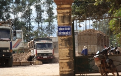 Hình ảnh: Nhà máy tinh bột “tiếp tay” xe quá tải