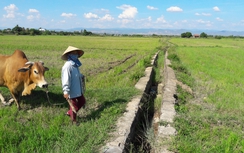 Thi công 28 triệu, khai khống 1 tỷ: Chủ tịch xã "kêu oan"!