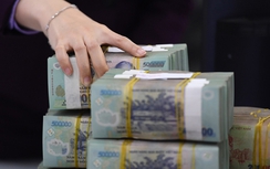 SSI: Tín dụng bị mắc kẹt 7-8% ở bất động sản