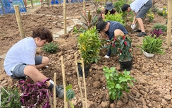 Vườn giác quan đầu tiên ở Hà Nội: Không gian giáo dục thiên nhiên và trị liệu cho trẻ em