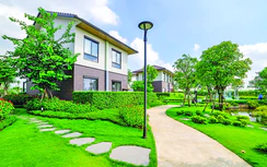 Compound The Aqua, Waterpoint: Kiến tạo nơi sống để nghỉ dưỡng