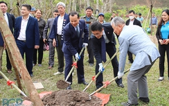 Bắc Giang: Trồng hơn 100 cây hoa anh đào tại Khu du lịch tâm linh - sinh thái Tây Yên Tử