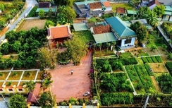 Nhân ngày kiến trúc nói về nhà ở thôn quê