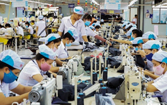 Cảnh báo về việc thu gom mua, cầm cố sổ BHXH của người lao động nhằm trục lợi bất chính