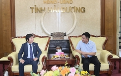 Hải Dương: Tạo điều kiện thuận lợi cho các doanh nghiệp tiêu thụ, xuất khẩu vải thiều và một số nông sản của tỉnh