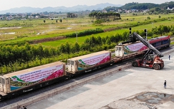 Bắc Giang: Lần đầu tiên vải thiều “xuất ngoại” qua ga liên vận quốc tế Kép