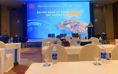 Vì sao Đại hội cổ đông của hàng loạt “ông lớn” bất động sản bất thành?