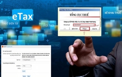Tổng cục Thuế cảnh báo tình trạng lừa đảo trực tuyến tăng mạnh