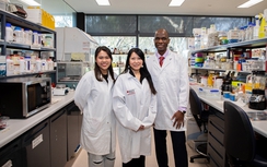 Tiên phong chế tạo vật liệu chống cháy từ nấm