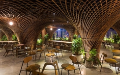 TS. KTS Võ Trọng Nghĩa với những nỗ lực trăn trở về kiến trúc xanh