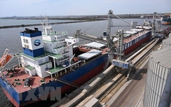 Romania phê duyệt nâng cấp cơ sở hạ tầng cảng Constanta ở Biển Đen
