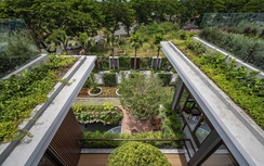 Ngôi nhà xanh bên dòng sông Hậu