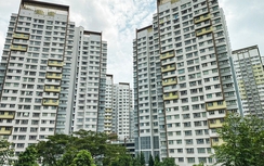 Chủ tịch CEO Group: Nhà nước cần trực tiếp tạo lập nhà ở xã hội cho thuê