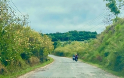 Đầu tư hơn 1.400 tỷ đồng nâng cấp Quốc lộ 28B kết nối Bình Thuận với Lâm Đồng