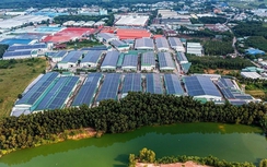 M&A bất động sản năm 2024: Ưu thế tiếp tục nghiêng về khối ngoại