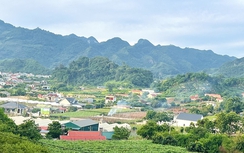 Sơn La: Duyệt quy hoạch chung đô thị Mộc Châu đến năm 2040