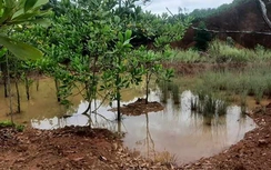 Thanh Hóa: Chỉ đạo đóng cửa các mỏ khoáng sản hết hạn sau phản ánh của Báo điện tử Xây dựng