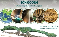 Hang Sơn Đoòng lọt top 10 hang động đẹp nhất thế giới