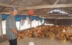 Quảng Nam: Hơn 764 tỷ đồng triển khai chương trình MTQG giảm nghèo bền vững năm 2024