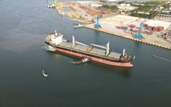 Nghệ An: Thống nhất chủ trương đầu tư dự án cầu dẫn nối Quốc lộ 7C với cảng nước sâu Cửa Lò