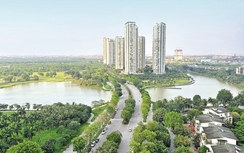 Bộ Xây dựng: Đôn đốc triển khai thi hành Luật Kiến trúc