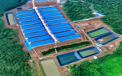 Kon Tum: Thu hút đầu tư có chọn lọc các dự án chăn nuôi