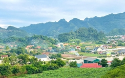 Mộc Châu (Sơn La): Nâng cao hiệu quả công tác quy hoạch và phát triển đô thị