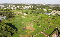 Lưu ý về giải quyết tranh chấp đất đai giữa hộ gia đình