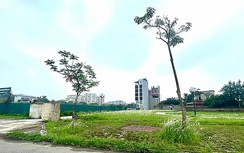 Đất nền, nhà thấp tầng: Giao dịch tăng, cảnh giác sốt ảo