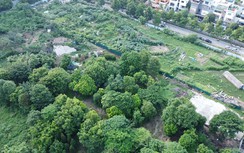 Có được quyết định trưng dụng đất bằng lời nói?