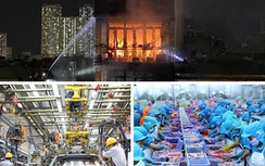 Chỉ đạo, điều hành của Chính phủ, Thủ tướng Chính phủ nổi bật tuần từ 17-21/6/2024