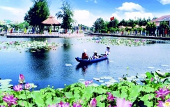 Hậu Giang: Đấu giá đất lựa chọn nhà đầu tư xây dựng nhà liên kế đường Nguyễn Công Trứ