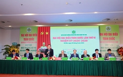 Hiệp hội Môi trường đô thị và Khu công nghiệp Việt Nam tổ chức thành công Đại hội Đại biểu toàn quốc lần thứ VI