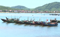 Hà Tĩnh: Chính phủ phê duyệt quy hoạch 4 cảng cá, khu neo đậu tránh trú bão cho tàu cá