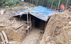 Quảng Nam: Rà soát để giải quyết chồng lấn quy hoạch đất quốc phòng và khu vực khoáng sản vàng gốc Nước Vin