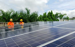Xây dựng, ban hành Nghị định quy định cơ chế, chính sách khuyến khích phát triển điện mặt trời mái nhà tự sản, tự tiêu