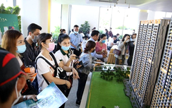 Nội dung hoạt động của sàn giao dịch bất động sản theo luật mới